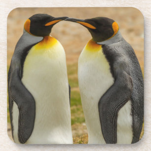 Dessous-de-verre Couple de manchots royaux, Falklands
