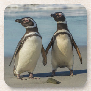 Dessous-de-verre Couple de manchots sur la plage