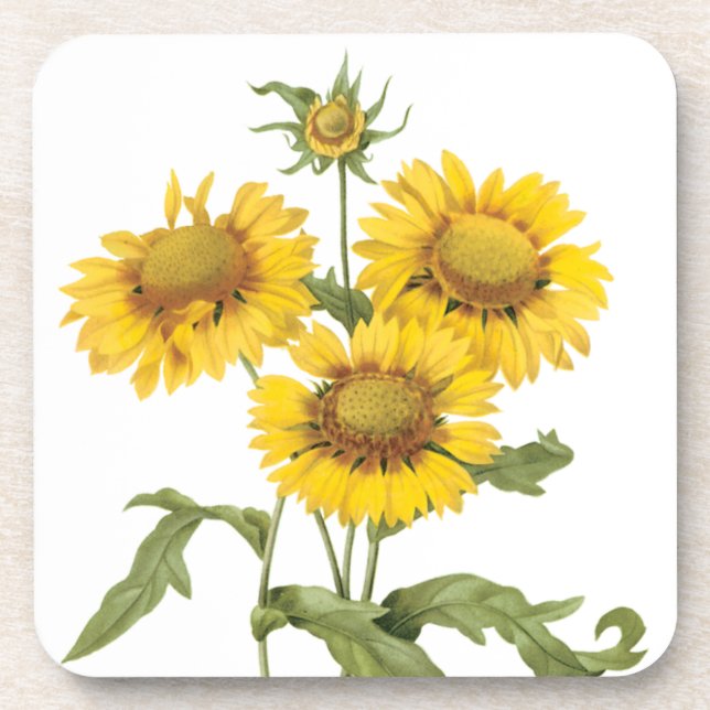 Dessous-de-verre Couverture Fleur de Blanket Tournesol de Redoute V (Devant)