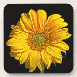 Dessous-de-verre Couvre-bière Sunflower Coastercn