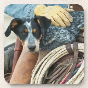 Dessous-de-verre Cowboy et chien sur le cheval