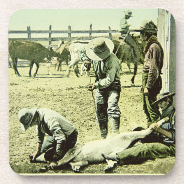 Dessous-de-verre Cowboys américains stigmatisant un veau, c.1900 (Devant)