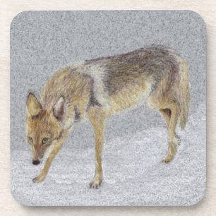 Dessous-de-verre Coyote