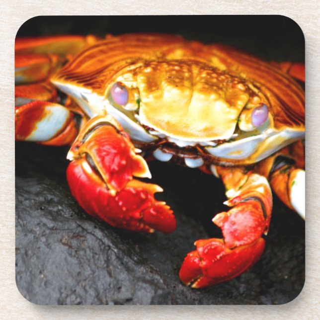 Dessous-de-verre Crabe de Galapagos (Devant)