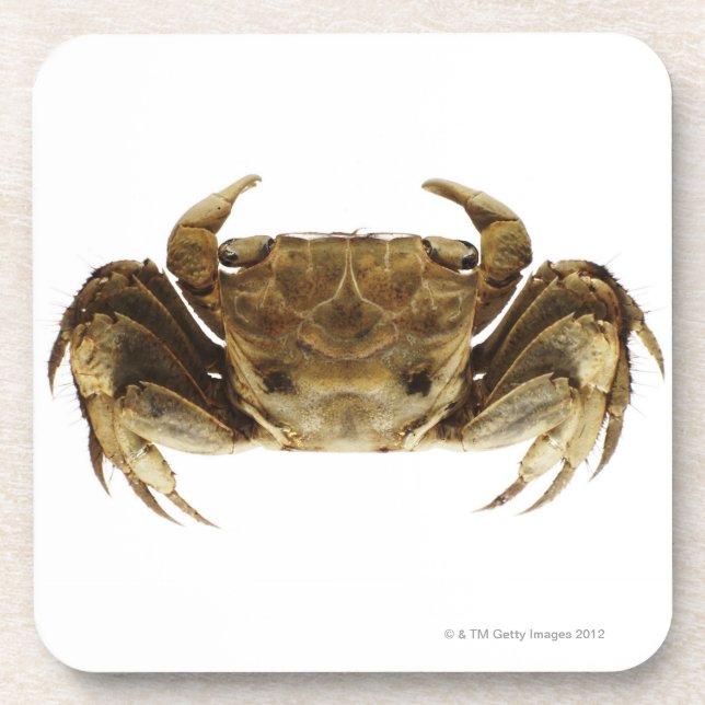 Dessous-de-verre Crabe sur l'arrière - plan blanc (Devant)