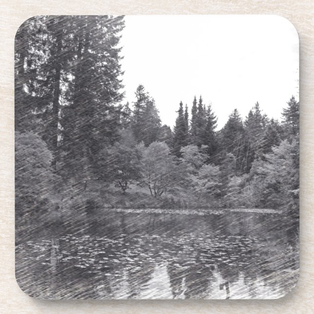 Dessous-de-verre crayon croquis jardin botanique, arbres, buissons (Devant)