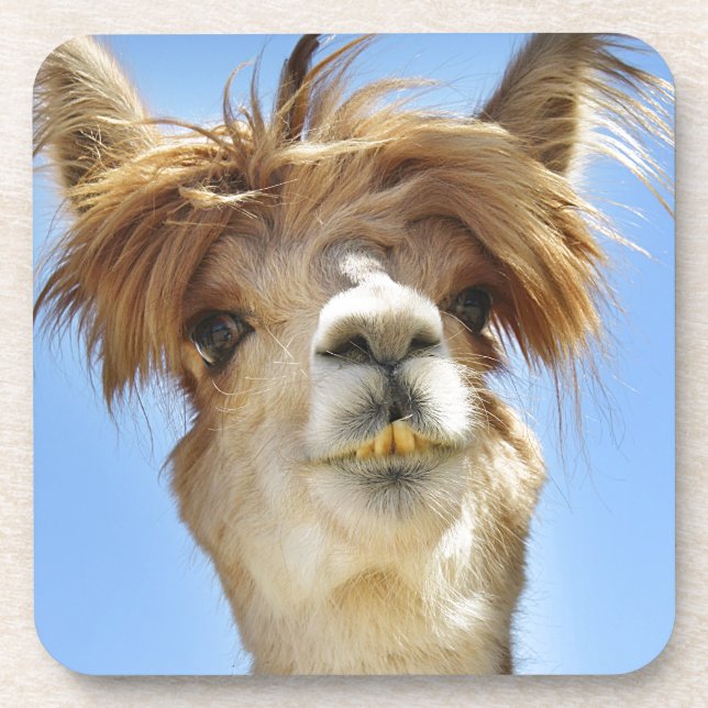 Dessous-de-verre Crazy Hair Alpaca (Devant)