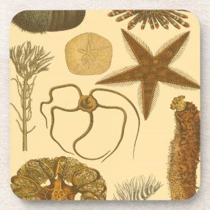 Dessous-de-verre Créatures sous-marines