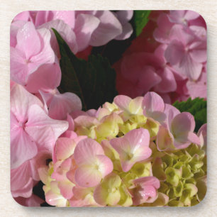 Dessous-de-verre Crème rose Hydrangeas jaune rose vert floral