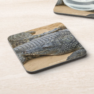 Dessous-de-verre Crocodile