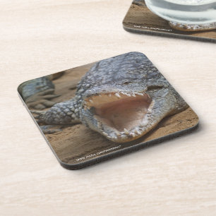 Dessous-de-verre Crocodile