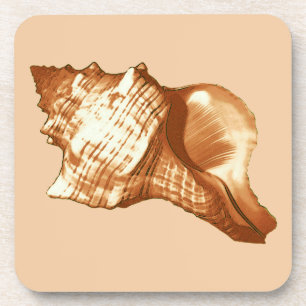 Dessous-de-verre Croquis en coquille de cône - brun, blanc et bronz