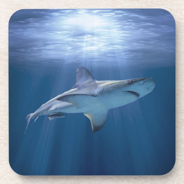Dessous-de-verre Cruising Shark (Devant)