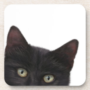 Dessous-de-verre Curious Kitty peinture numérique