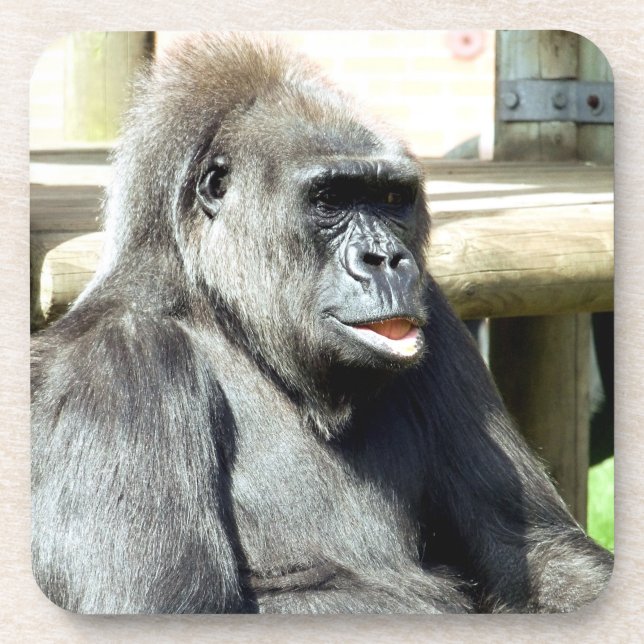 DESSOUS-DE-VERRE CUTE GORILLA (Devant)