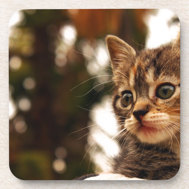 Dessous-de-verre Cute Kitten (Devant)