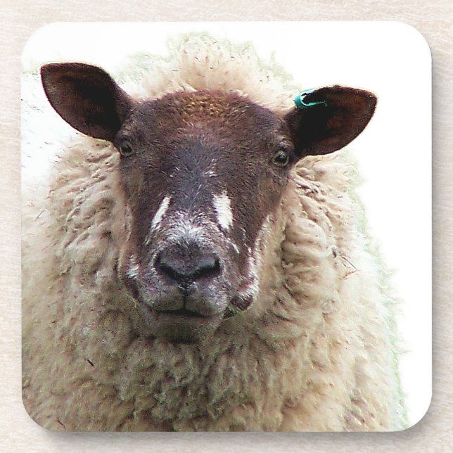 DESSOUS-DE-VERRE CUTE SHEEP (Devant)