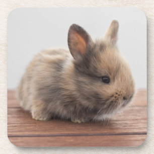 Dessous-de-verre Cutest Baby Animals Tiny Baby Bunny
