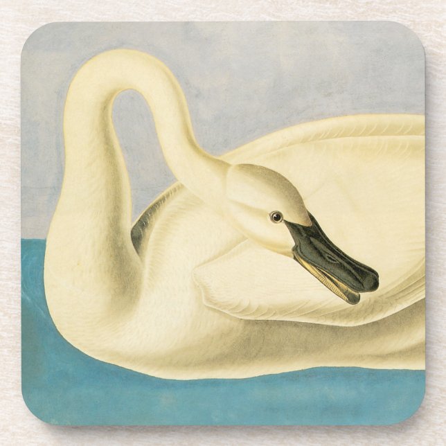 Dessous-de-verre Cygne trompette par John James Audubon, Oiseau Vin (Devant)