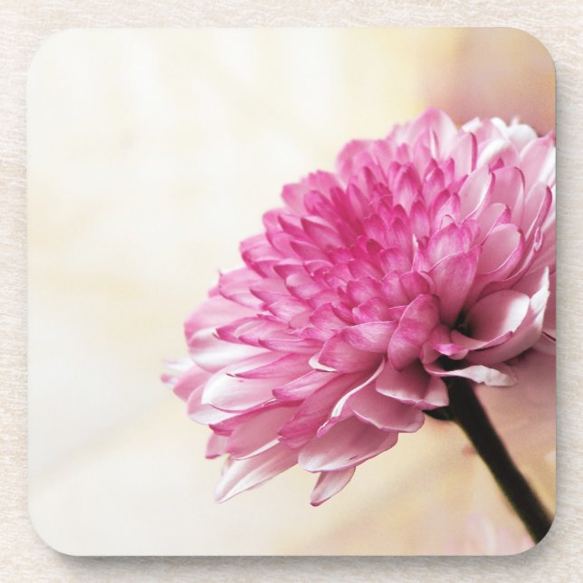 Dessous-de-verre Daisy (Devant)
