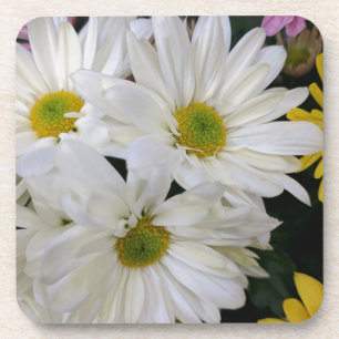 Dessous-de-verre Daisy