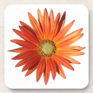 Dessous-de-verre Daisy africain