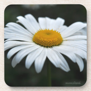 Dessous-de-verre Daisy - Face vers le haut