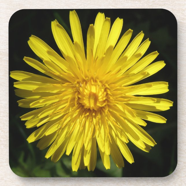 Dessous de verre Dandelion Cork (Devant)