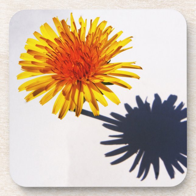 Dessous-de-verre Dandelion et ombre coastercnm (Devant)