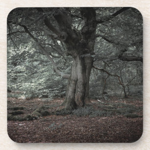 Dessous-de-verre Dans la forêt de conte de fées   