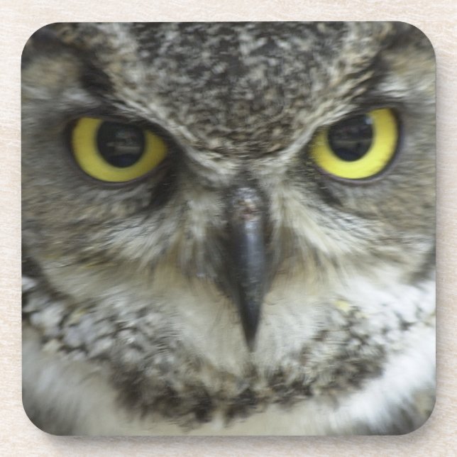 Dessous-de-verre Dans votre chouette (Devant)