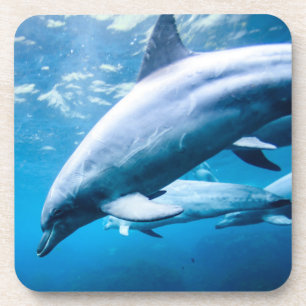Dessous-de-verre Dauphins sous-marins