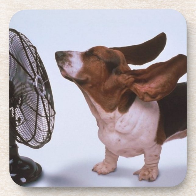Dessous de verre de Basset Hound (Devant)