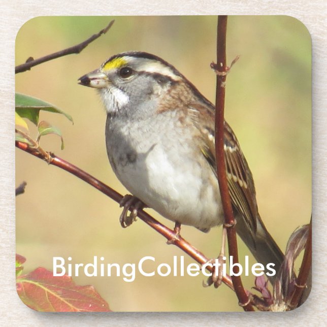 Dessous de verre de BirdingCollectibles (Devant)