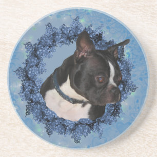 Dessous de verre de boisson de Boston Terrier Dog