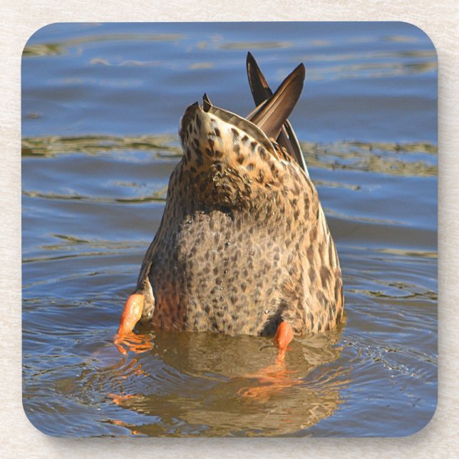 Dessous de verre de canard (Devant)