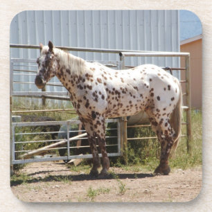Dessous de verre de cheval d'appaloosa repérés p