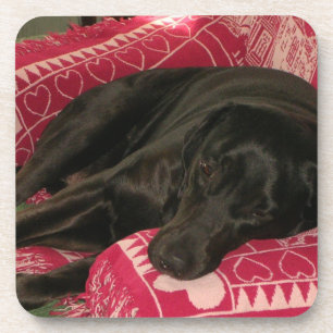 Dessous de verre de chien endormi - Ensemble de 6