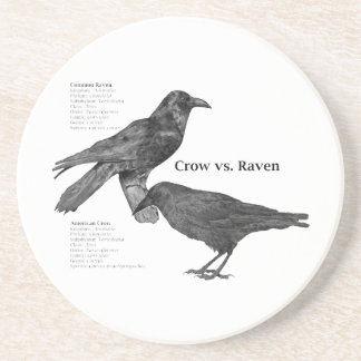 dessous de verre de corneille-contre-Raven