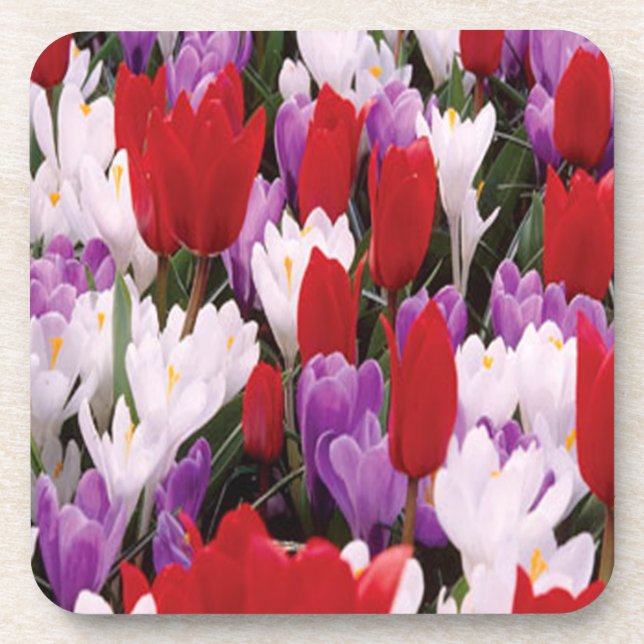 Dessous de verre de fleurs de tulipes colorées (Devant)
