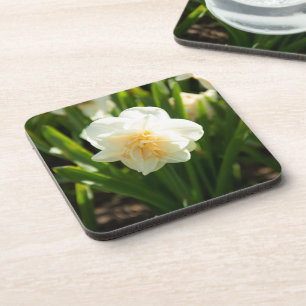 Dessous-de-verre De grands jonquilles blancs par un jour de printem