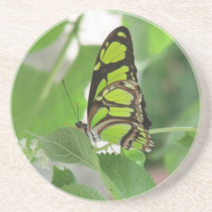 Dessous de verre de grès papillon