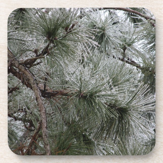 Dessous de verre de la saison hivernale (Devant)