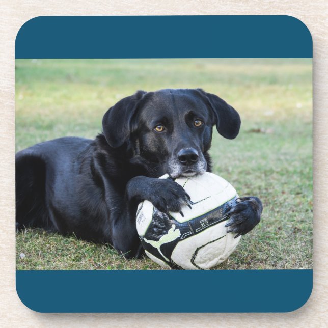 Dessous de verre de laboratoire noirs.  Ensemble d (Devant)