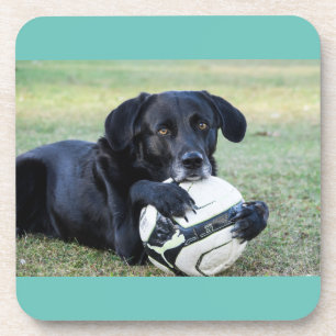 Dessous de verre de laboratoire noirs. Ensemble de