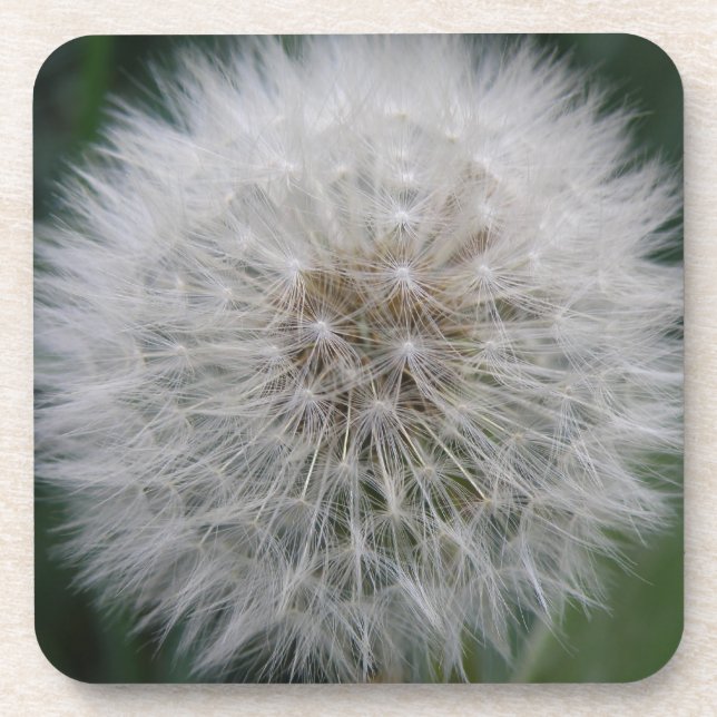 Dessous de verre de liège à fleur de Dandelion (Devant)