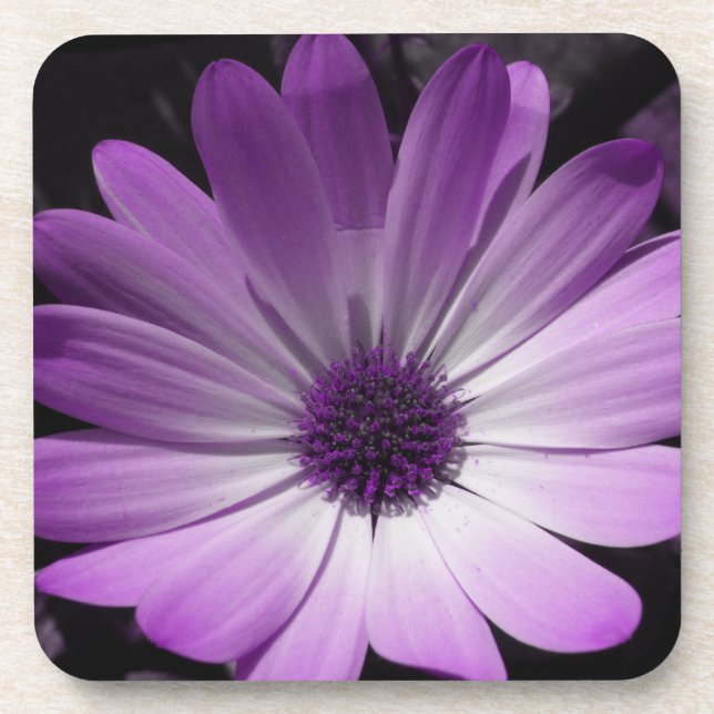 Dessous de verre de liège à fleur pourpre (Devant)