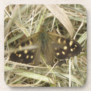 Dessous de verre de liège à papillon de bois mouch