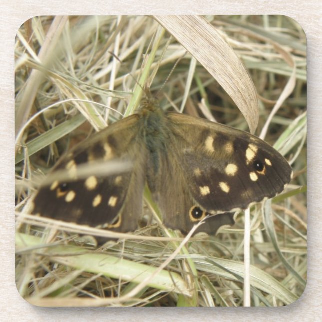 Dessous de verre de liège à papillon de bois mouch (Devant)