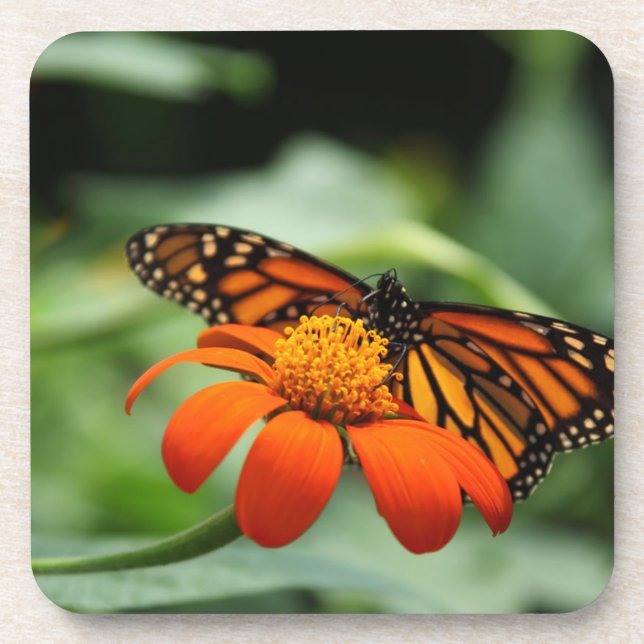 Dessous de verre de liège à papillon monarque (Devant)